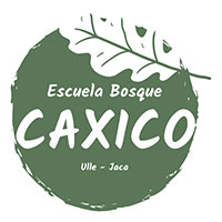 Escuela Bosque Caxico