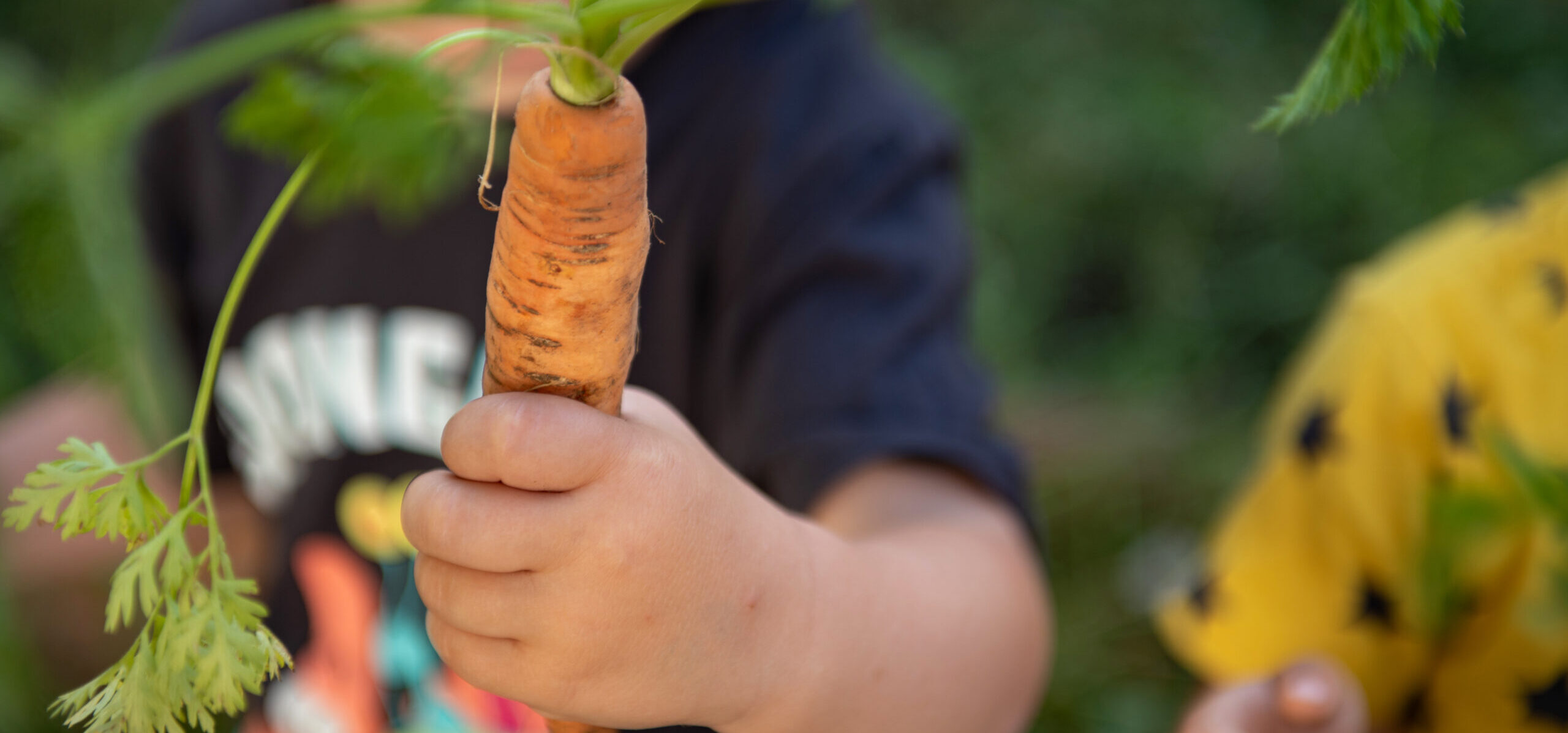 Portada recursos primaria