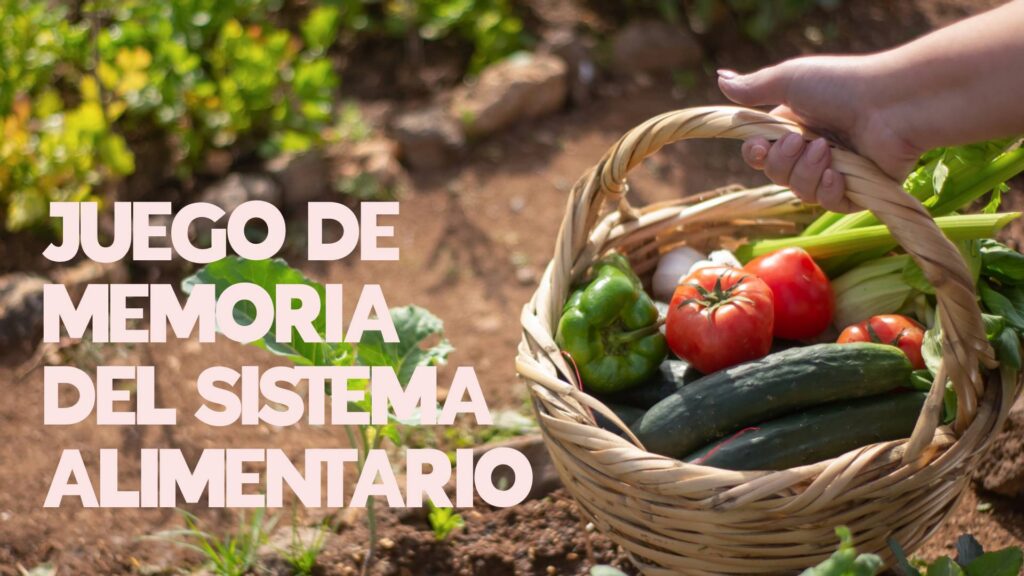 Juego de memoria del sistema alimentario